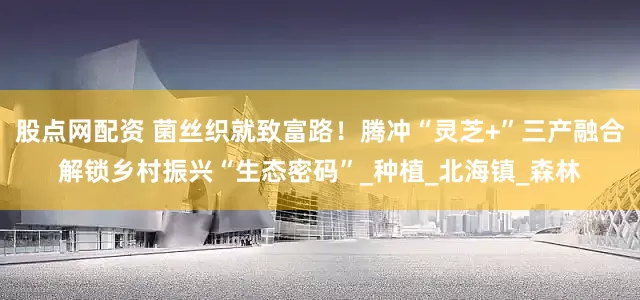 股点网配资 菌丝织就致富路！腾冲“灵芝+”三产融合解锁乡村振兴“生态密码”_种植_北海镇_森林
