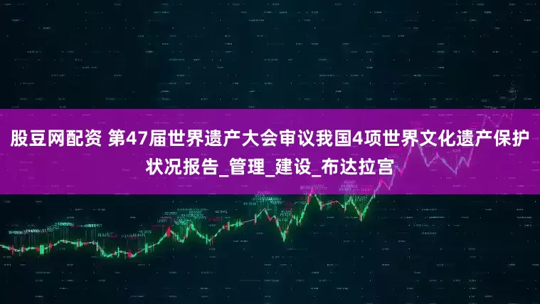 股豆网配资 第47届世界遗产大会审议我国4项世界文化遗产保护状况报告_管理_建设_布达拉宫